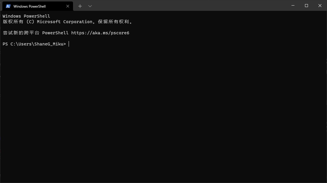 Windows Terminal
